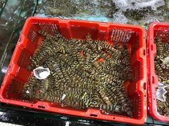 -渔民新村(番禺总店)