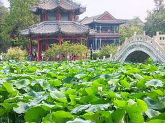 -莲池书院博物馆