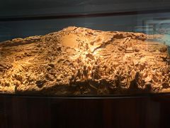 -上海市龙华烈士陵园