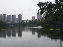-重庆彩云湖湿地公园