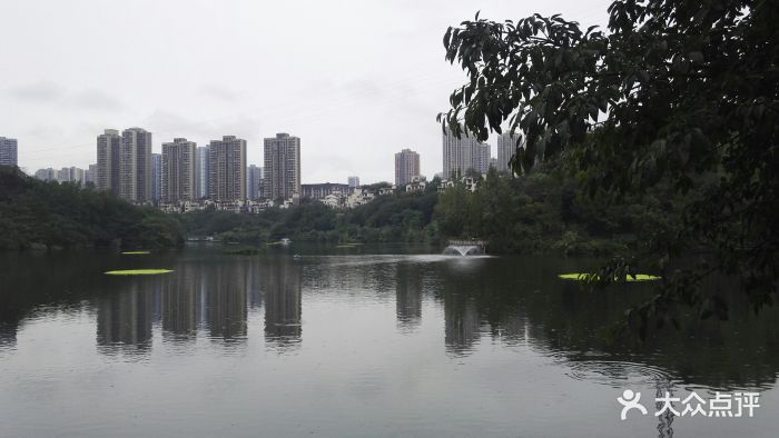 重慶彩雲湖國家溼地公園圖片 - 第502張