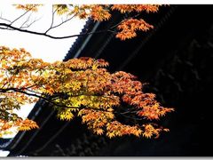 -清凉寺