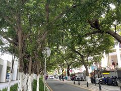 -星巴克臻选(广州沙面店)