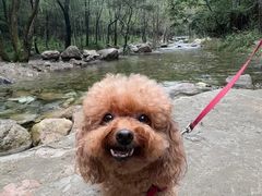 -玉渡山自然风景区