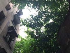 -蒋六十八梯眼镜面(渝中店)