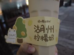 -猫的魔法密林(衣裳街店)