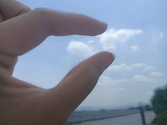-晋直驾校