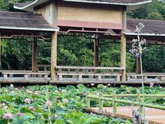 -广州莲花山旅游区