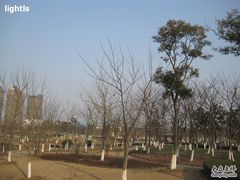 -白塘生态植物园