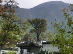 -塔川景区