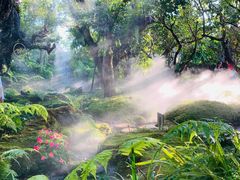 -Chom Cafe and Restaurant