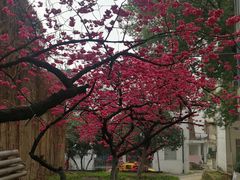 -中南财经政法大学(首义校区)