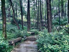 -中国茶叶博物馆(双峰馆区)