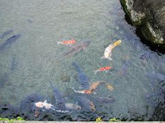-水前寺成趣园