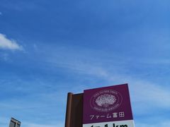 -富田农场
