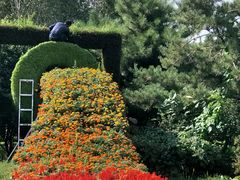 -长春公园(普阳街道)