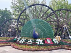 -呀路古热带植物园