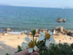 -玫瑰海岸文化旅游度假区