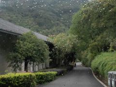 -芳草地度假酒店·野炉中餐厅