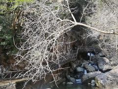 -太湖源风景区
