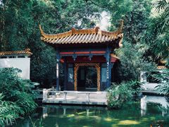 -广州兰圃