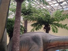 -国家自然博物馆