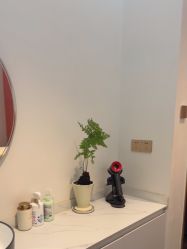 -WENDY·温迪皮肤管理