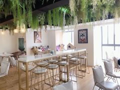 -Husky Go! 哈士奇体验馆·宠物咖啡厅狗咖