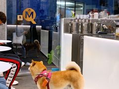 -MQ COFFEE STAND明谦(新洲店)