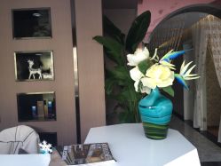 -佐登妮丝美容SPA生活馆