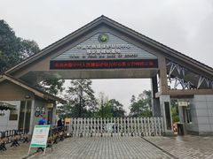 -中国大熊猫保护研究中心雅安碧峰峡基地