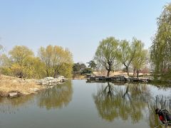 -北京西山国家森林公园