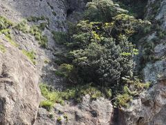 -雁荡山风景名胜区-朝阳洞