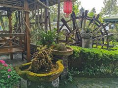 -青城甲(青城山店)