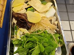 -金鼎雪山牦牛杂火锅(理县总店)