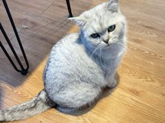 -小时光咖啡馆(开森度假森林店)