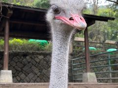 -福州动物园