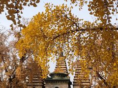 -北京石刻艺术博物馆(五塔寺)