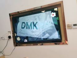 点击看大图 -WENDY·温迪皮肤管理