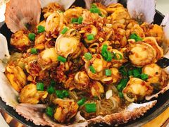 粉丝扇贝-陶然饺子城(奥体中路店)