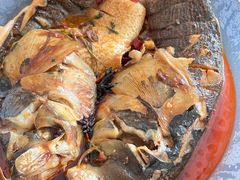 -解家河南菜(金水路店)