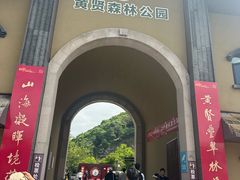 -黄贤森林公园