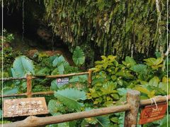 -海口火山口国家地质公园
