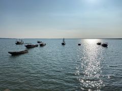 -鄱阳湖国家湿地公园
