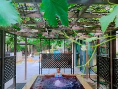 -春晖园度假酒店温泉