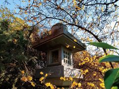 -开福禅寺