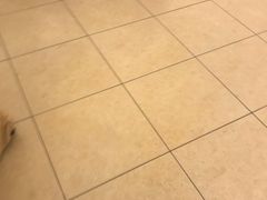 -起士林西餐厅(东经路店)