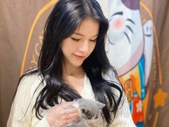 -屋虎猫馆(宝安大仟里店)