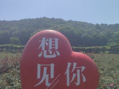 -龙寺生态园