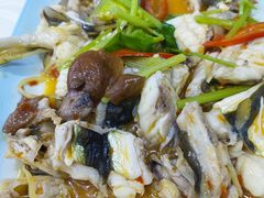 -老明馨潮汕大排档